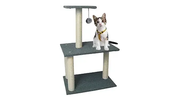 Melhores Arranhadores de Sisal com Brinquedo para Gatos