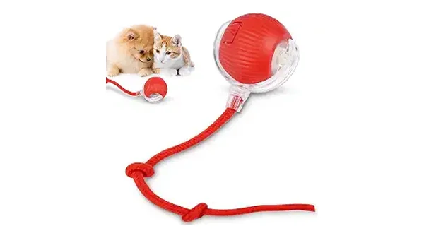 Melhores Brinquedos para Gatos e Combate ao Tédio