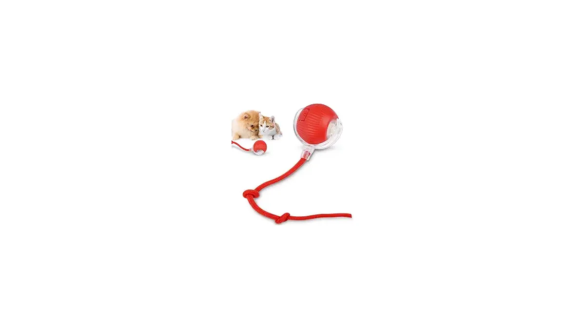 Melhores Brinquedos para Gatos e Combate ao Tédio