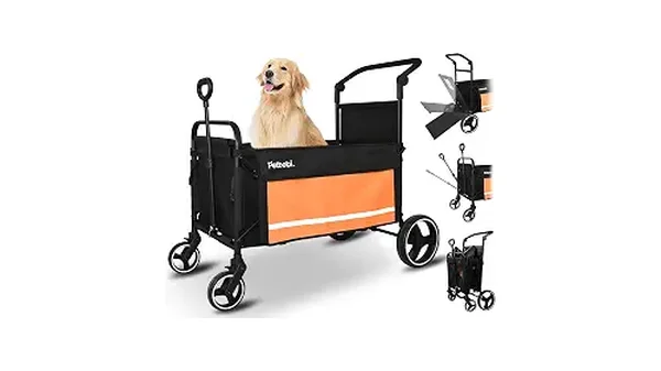 Melhores Carrinhos de Passeio para Cachorros Idosos e Especiais