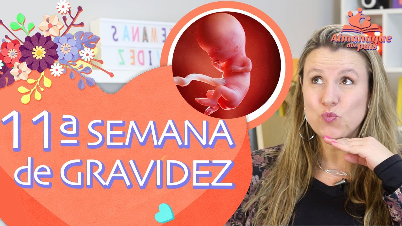 11ª SEMANA DE GRAVIDEZ | Corpo da Gestante, Tamanho do Feto, Sexo do Bebê | 1º TRIMESTRE DE GRAVIDEZ