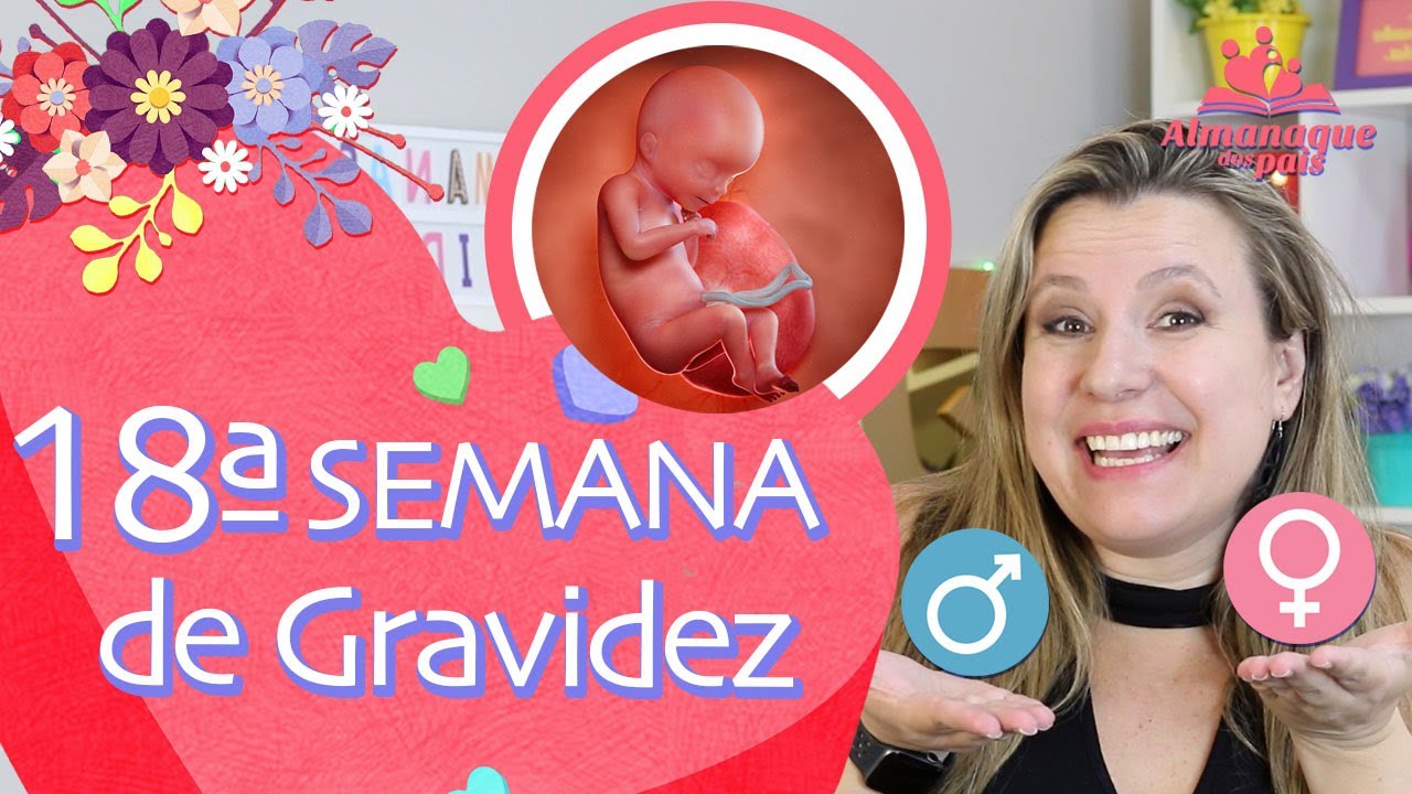 18ª semana de gestação | Como sentir o bebê se mexer, tamanho do feto e barriga | 2º trimestre de gravidez