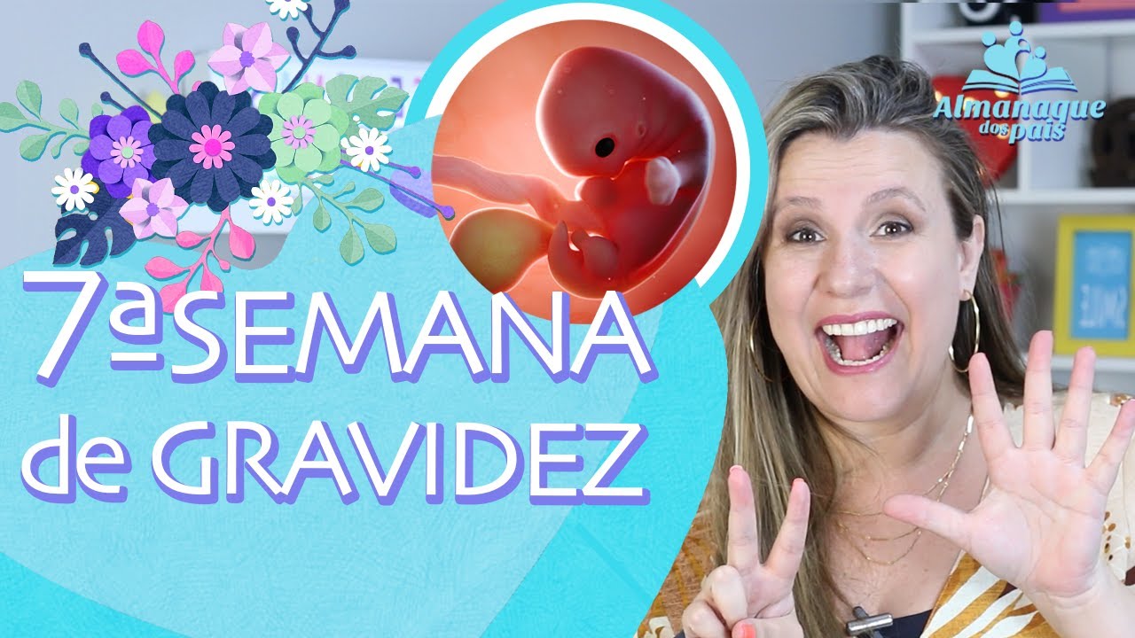 7ª semana de gestação | Tamanho do bebê, corpo da gestante, dicas | 1º trimestre de gravidez.