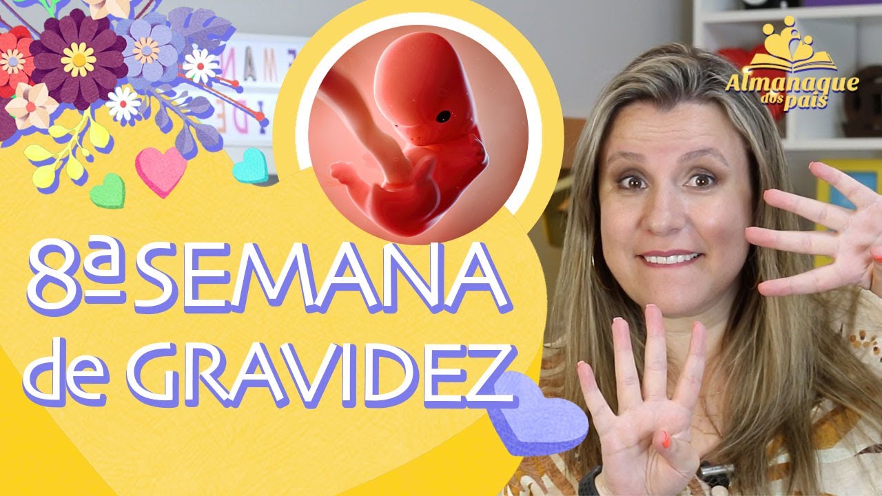 8ª semana de gravidez | Gênero do bebê, tamanho do feto, corpo da gestante | 1º trimestre de gestação