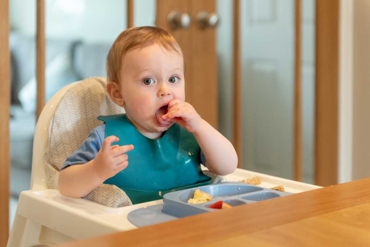 Dicas de Segurança na Hora das Refeições: Como Usar a Cadeira de Alimentação Corretamente