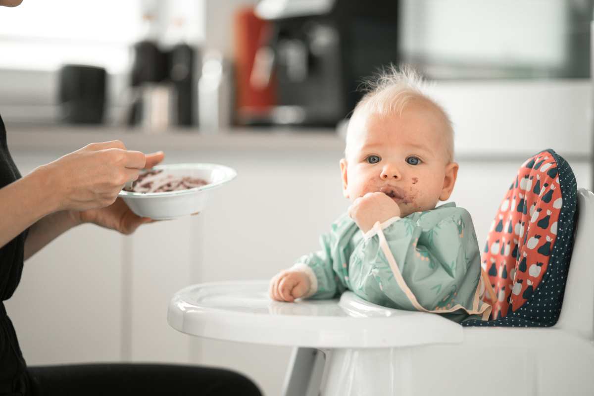 Cadeirão de Alimentação para Bebês: Guia Completo para Escolher o Melhor Modelo