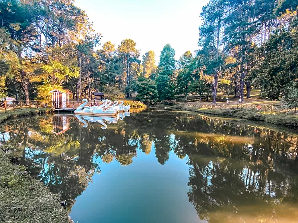 10 Destinos de Ecoturismo para Viajar com a Família em São Paulo